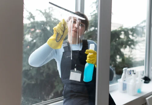 Nettoyage de vitres intérieures et extérieures à Saint-Péreuse